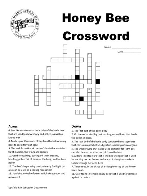 male honeybee crossword|Male honey.